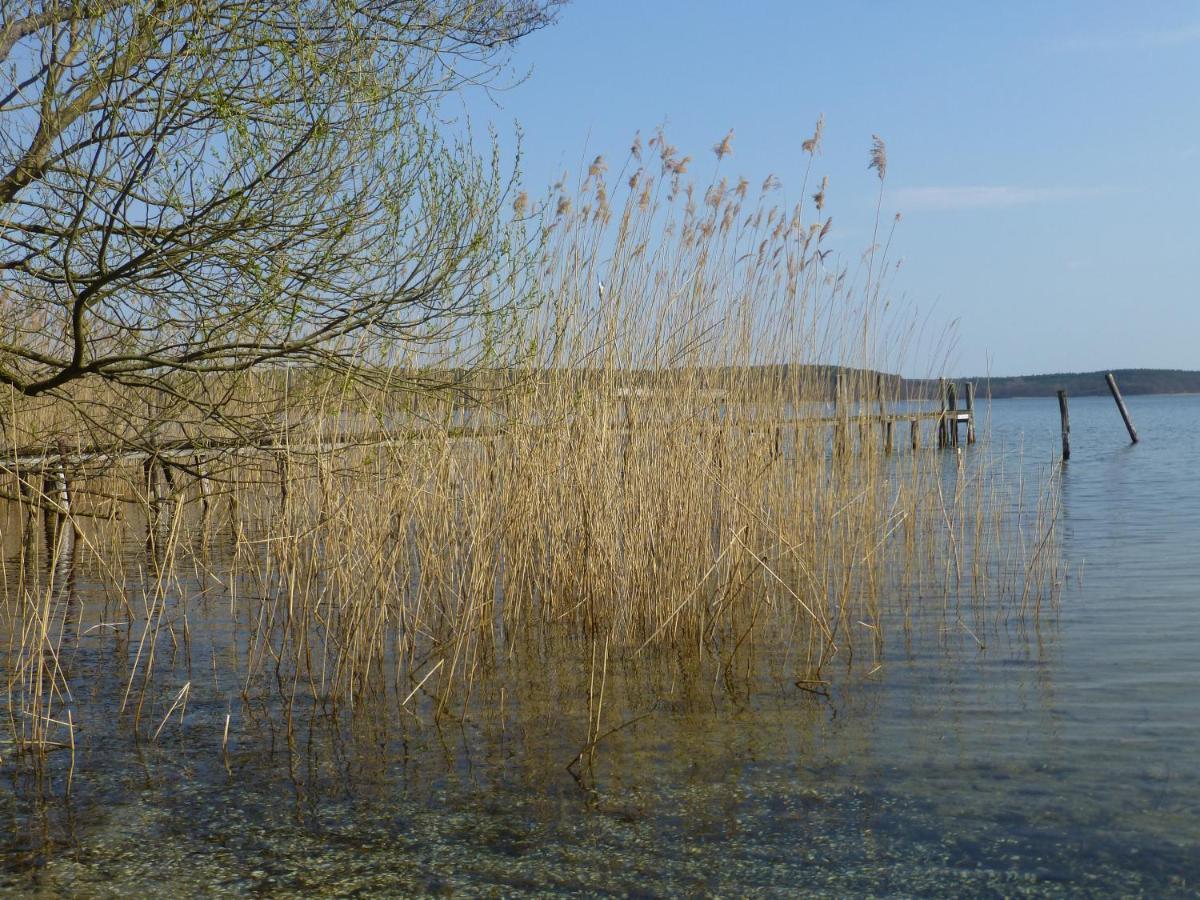 Altes Fischerhaus Vila Plau am See Exterior foto